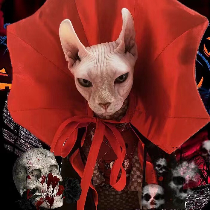 ペットハロウィーンマント猫犬血族王変装服貴賓比熊雪納瑞博美|undefined