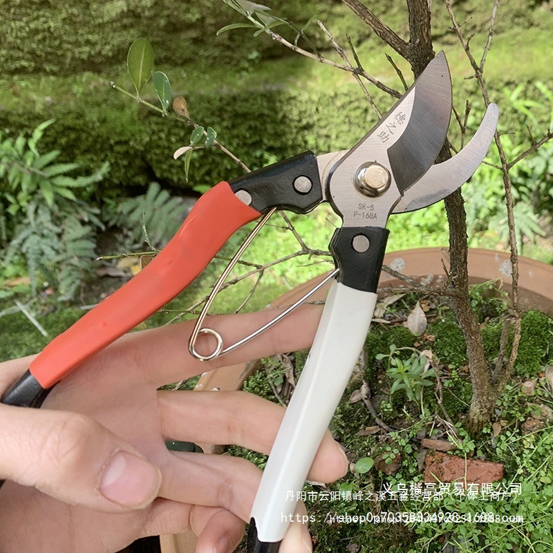 园林剪刀工具修枝剪园艺剪果树剪整枝剪绿化台湾德之助摘果树枝剪
