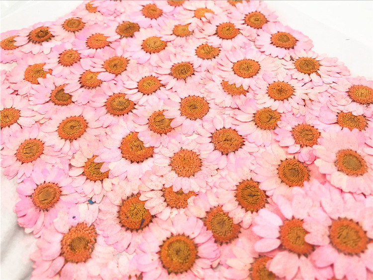 QQ图片20181128085804