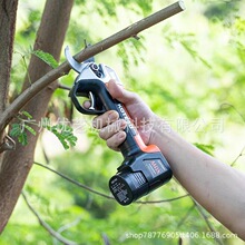 KOTESO�����^�@�ֹ����޼�֦늄Ӽ����_����3-4cm���ʽ��늼�