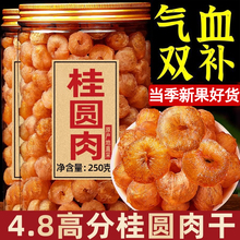 高州散装新货无核干桂圆肉500g泡水肉干龙眼桂圆干灯笼新桂圆