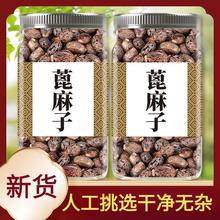 ���x��؛�����ӱ����Ӽt�������������ֹ����x�����ʸ�؛