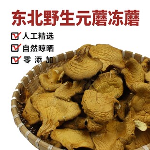 ���|���L��ɽҰ��ԪĢ��؛500g��Ȼ��ĢС�SĢС�u��Ģ��������؛