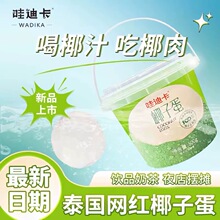 哇迪卡泰国椰子蛋500g桶装网红鲜挖椰子蛋椰肉椰汁椰青两吃椰子肉