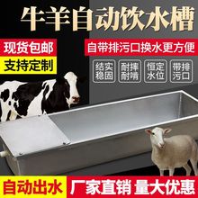 牛羊用自动饮水器不锈钢喝水喂水电热恒温喂水槽新型羊槽食槽