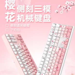 ��тȿ̷�ɫ��ģ�Cе�I�P108�I�o���{���錢��Ů���k��RGB�o���S