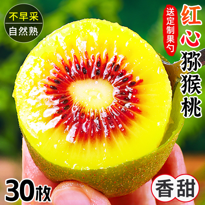 四川红心猕猴桃斤蒲江大奇异果新鲜当季孕妇水果大果弥猴桃整箱