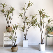 ���ͷ���ֲ�����԰����F����Ѫ���̈��Ƶꙻ���پGֲ�b[���[�O