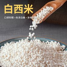 白西米露杨枝甘露珍珠奶茶小西米粒水果捞芋圆椰汁