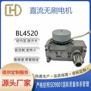 宠物料理机4520无刷减速电机1.5L厨余清理机/咖啡机搅拌马达蜗杆