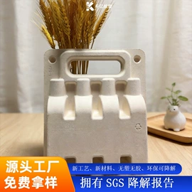 纸浆模塑;纸盒;其他纸类包装