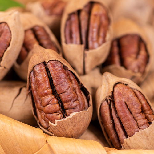 Pecan wholesale nut snack manufacturer casual snack dried fruit 500g cream American walnut thin shell longevity fruit