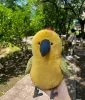 Baguette parrot