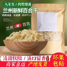 煮粥干食用百合干无硫熏白合煲汤新农家百合甘肃甜特产兰州