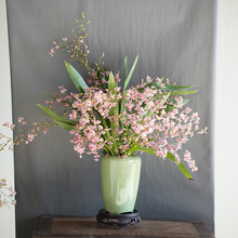 带多花苞浓香梦香文心兰跳舞年宵花开花香好养可水培室内花卉苗