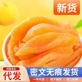 红枣干;瓜子;其他果干蜜饯