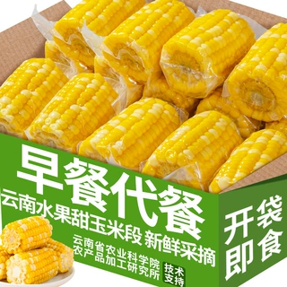 农科院5斤云南水果甜脆玉米段新鲜真空开袋即食学生宿舍早餐免煮