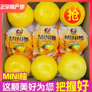 ��֭�S�����������r���Ӹ���ˮ������������������3-11��������