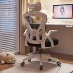 电脑椅子舒服久坐家用办公座椅人体工学电竞椅卧室书桌凳子靠背椅