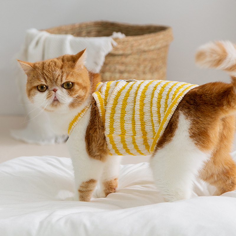 Primavera y verano gatos dos patas rayas galletas sándwich de verano perro delgado transpirable peluche ropa de gato