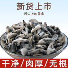 黑龙江东宁黑木耳南北干货农产品 秋木耳大量批发 一件代发