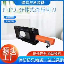 �๦��P-170 ���wʽҺ���е����|�W�z�����ྀ�Q�~�X��·������
