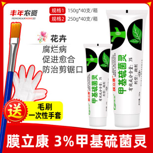 Ĥ����3%�׻�����`���пڱ��o�������o��ֲ��������ωTĨ��150g