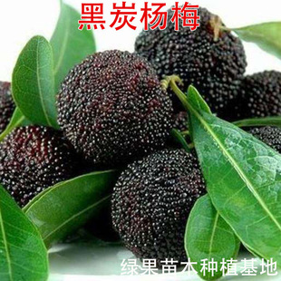 ��÷�� ��̿��÷���箔��Y���޽ӗ�÷���������Ե����Ϸ�����