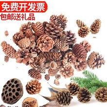 ���~�ɻ�С�ɹ��b�����Ұ����ͯ�ֹ������ֹ�diy�׃��@�[������