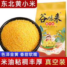东北黑龙江农家油糯黄小米杂粮米2023年新米大黄米月子粥
