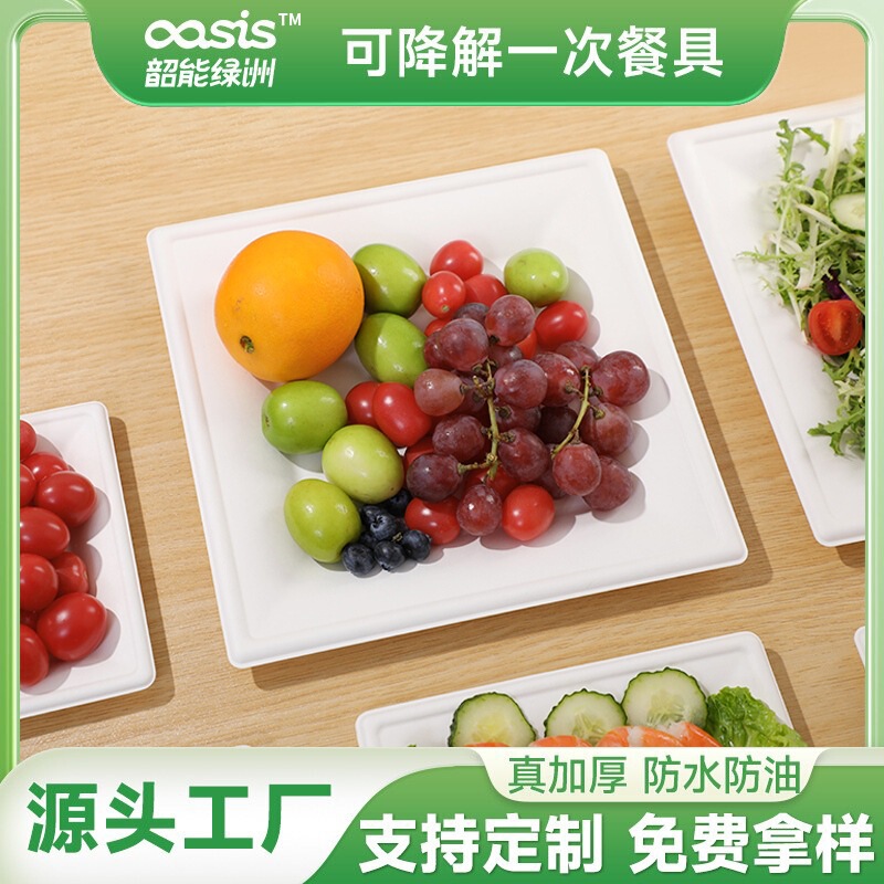 Shaoneng Oasis Sugarcane Bagasse Disposable Dinner Plate Biodegradable Compostable Square Oil-Proof Takeaway Packaging Box