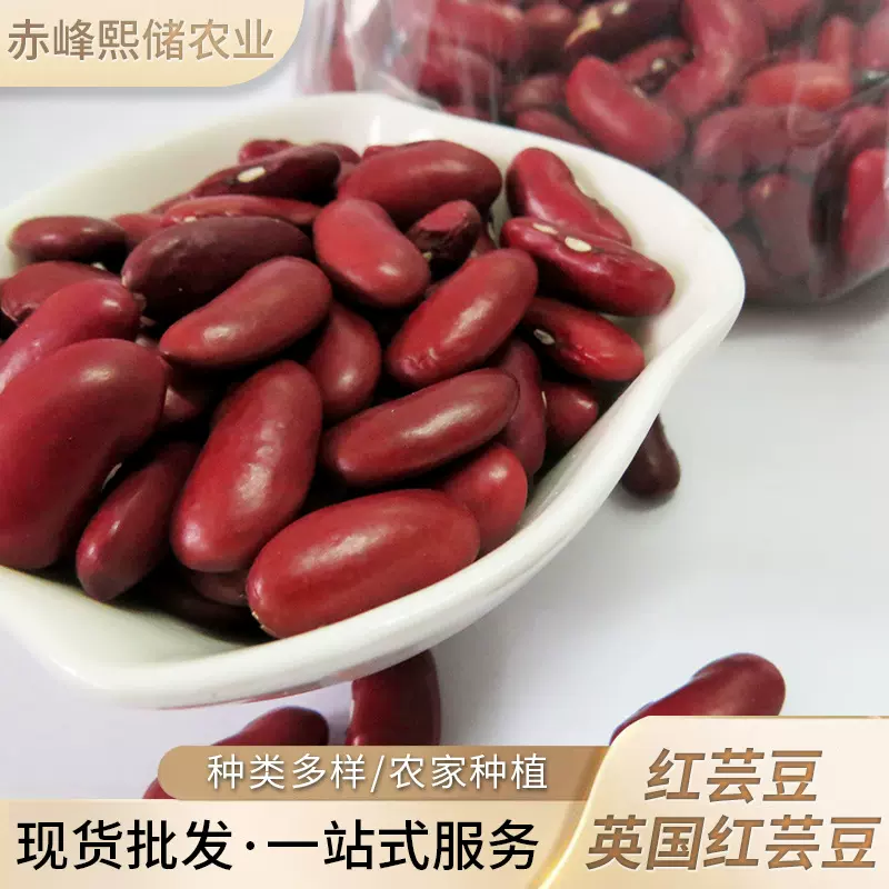 批发五谷杂粮红芸豆 农家自产红芸豆  煲粥煮汤用原料英国红芸豆