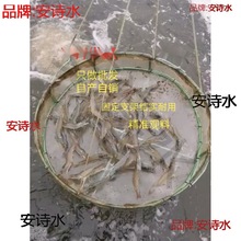 养虾料台水产养殖喂养虾白对虾龙虾观料台虾料台食料场