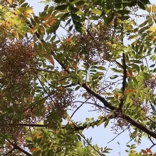 ���l�S�Bľ�N����ľ��N��ľϧľ�G���е���ľ��ľ��N��