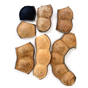 ����Ϙ}�ٴ��v�����޶����޶��ֹ�DIY�l�����޸ɻ������^����