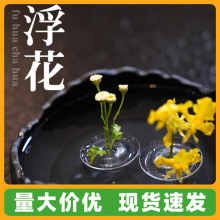 Ư�������¿�s�����L��W�t�����r�����軨ƿ�͏d����ˮ����