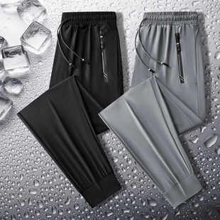 M-8XL���zѝ����ʿ�ļ������ٸ�͸���\�����e�Lѝ�ӷʴ�a���{ѝ
