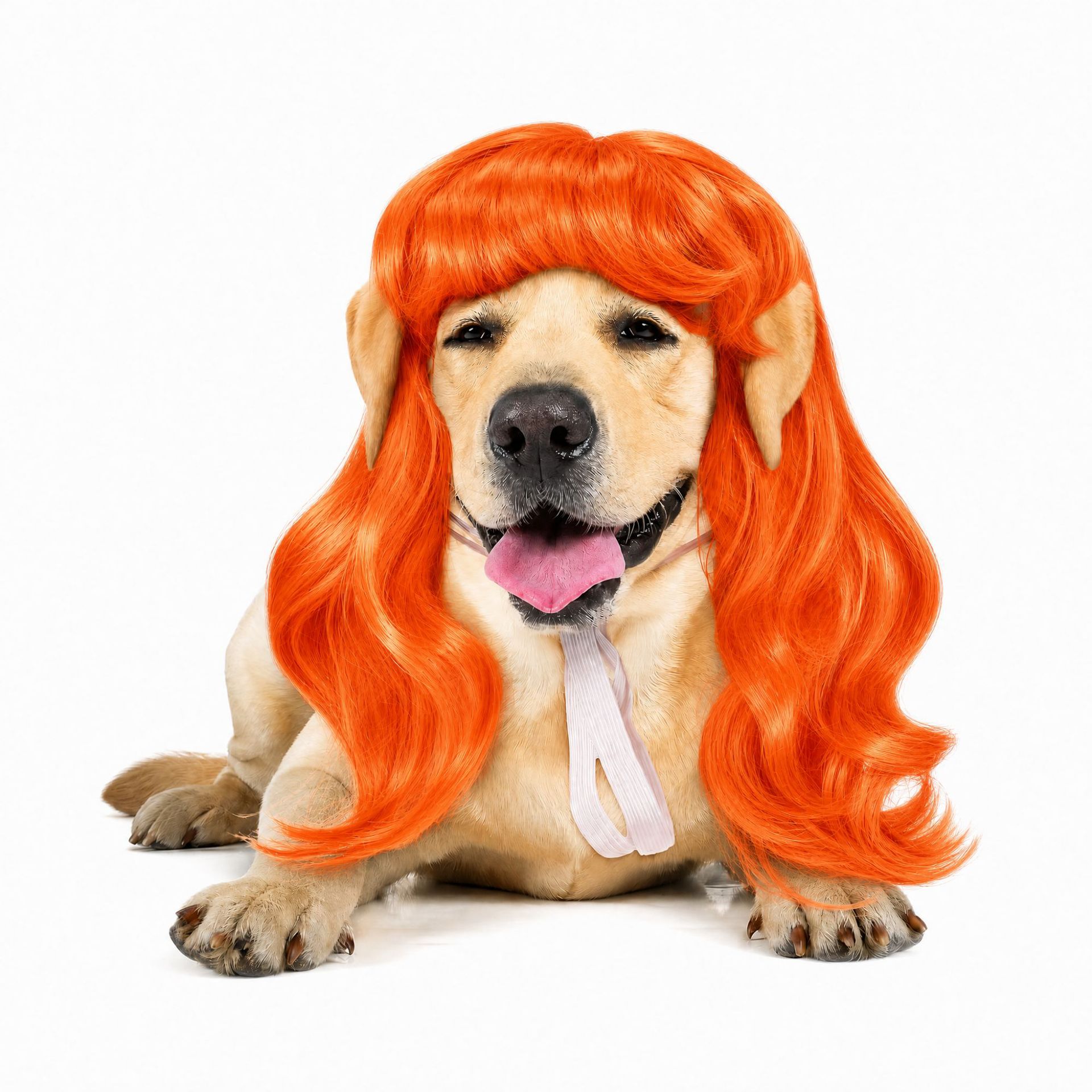 Peluca para Mascotas de Fibra de Alta Temperatura Decorativo para Halloween