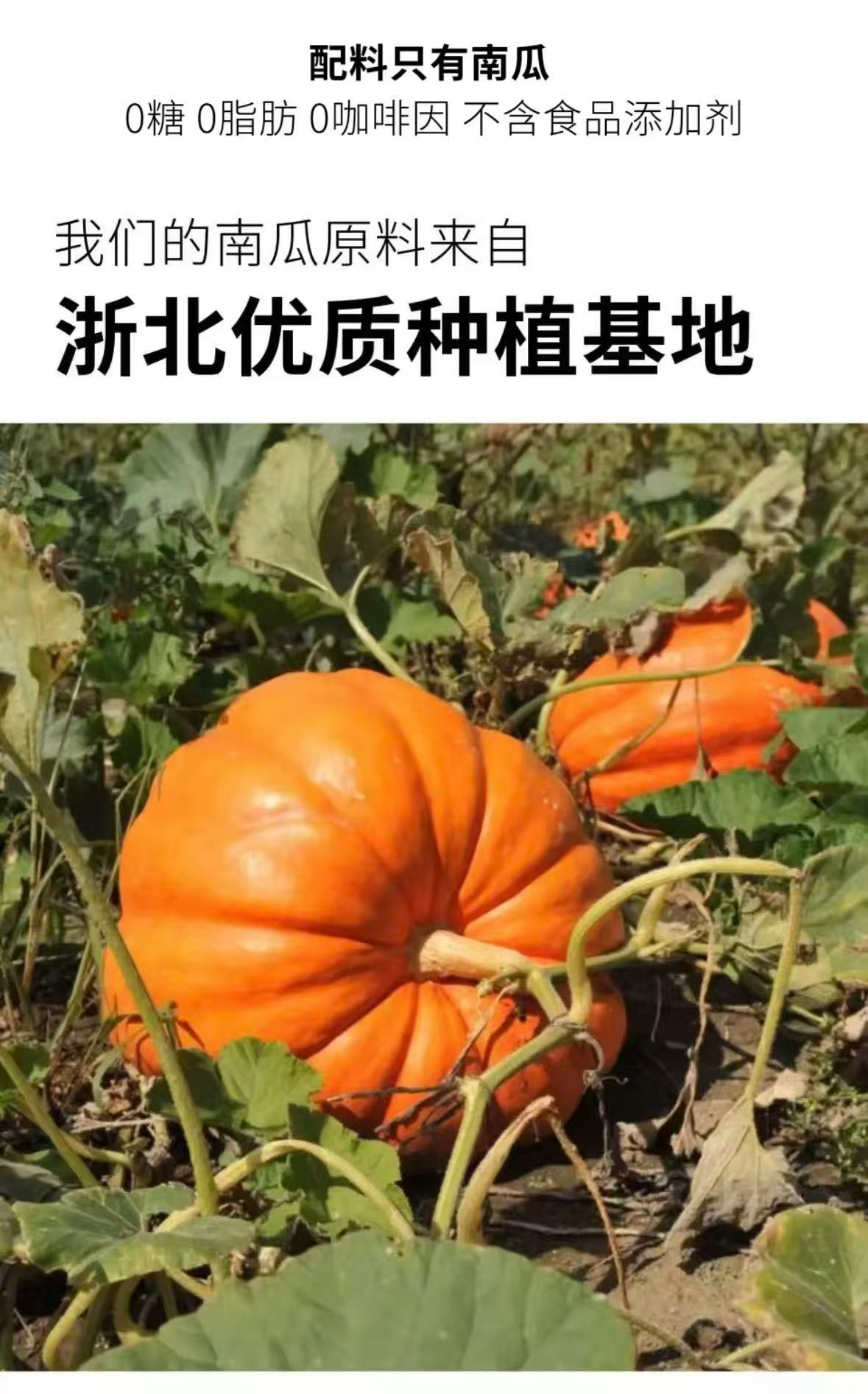Pumpkin Tea Nan Gua Cha Dried Pumpkin Herbal Tea Sugar Free Cold Brew Wellness Tea 30g specifications
