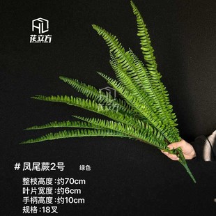 ¿ާݲ˹ֲĲ˹ާ沨˹D~ŲݏSl