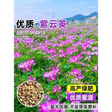 ӢݷNļݾGtѷNݾGԴֲʳ