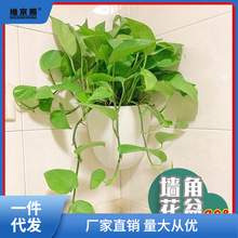 ���ˮ��ڒ컨�� ���˾G�}�������� ��ʽ���� �젝 �Ғ�ʽ����֮