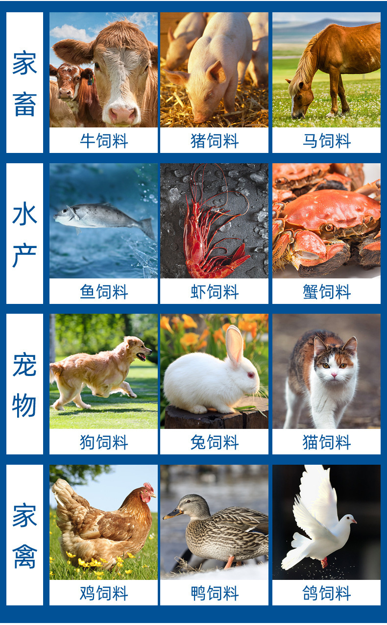 13337917573_1333539845