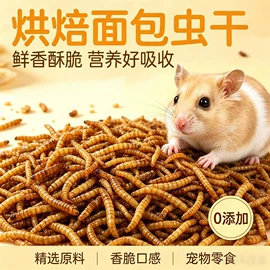 猫猫零食;猫猫玩具;猫猫窝/笼/垫