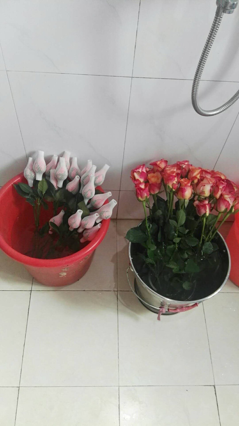 0f33a2d8-1cc5-478b-aebc-5869d688e134.jpe