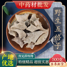 șҰؼ屶 ĥ屶ӷ ԿɴߴӾxl