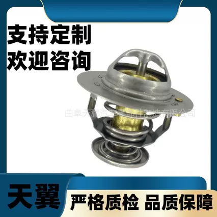03G121113A 适用于 VW 大众汽车 节温器 Car thermostat