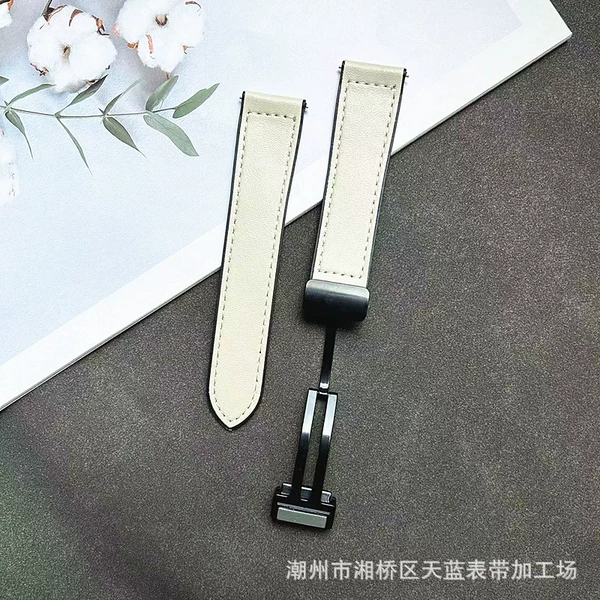 White-black magnetic buckle