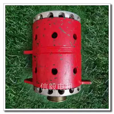 Electric DoVe Explosion-proof Generatorlar hissələri (Dinamo və detalları)