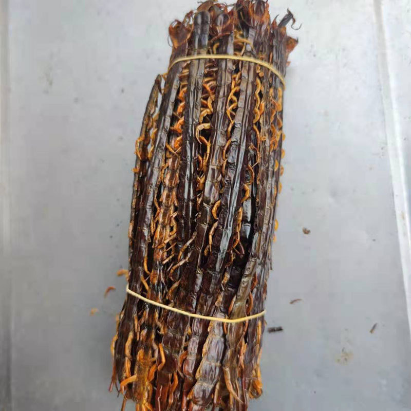 Dried Centipede Wu Gong Whole Herb 100g Traditional Chinese Medicine Ingredient specifications